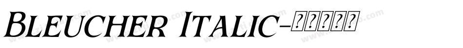 Bleucher Italic字体转换